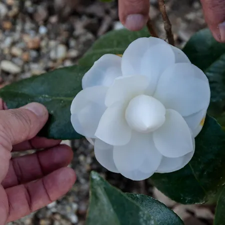 Casa Ponte Da Vessada Селорику-ди-Башту