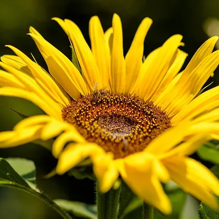 Casa Ponte Da Vessada Селорику-ди-Башту