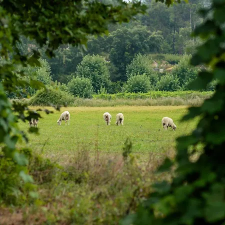 Дом отдыха Casa Ponte Da Vessada *