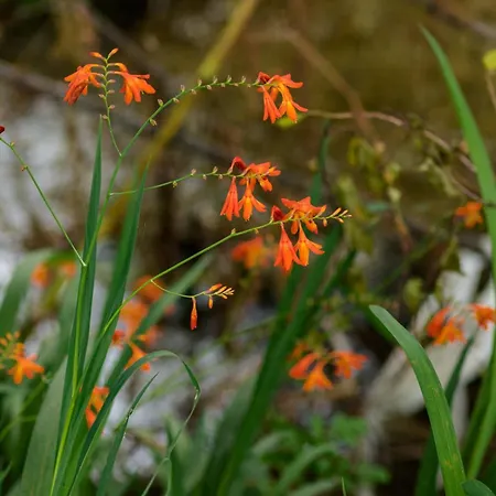 Дом отдыха Casa Ponte Da Vessada Селорику-ди-Башту