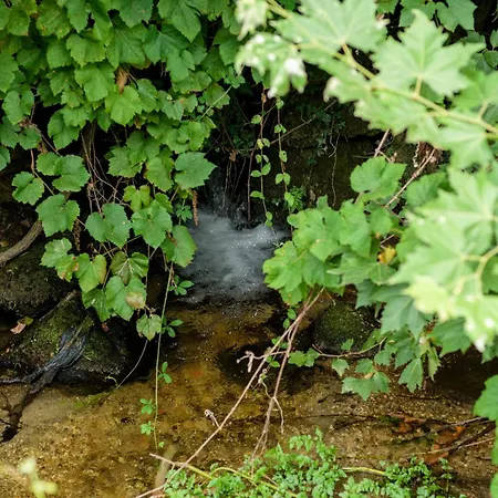 Casa Ponte Da Vessada