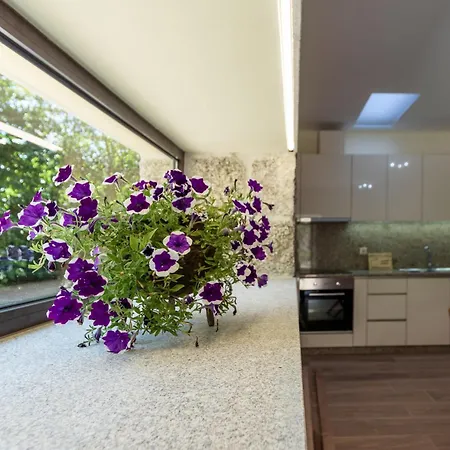 Дом отдыха Casa Ponte Da Vessada Селорику-ди-Башту