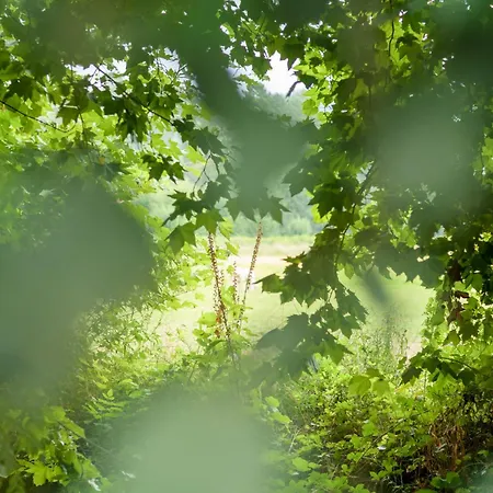 Casa Ponte Da Vessada Дом отдыха Селорику-ди-Башту