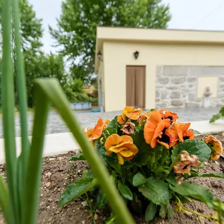 Nyaraló Casa Ponte Da Vessada Celorico de Basto