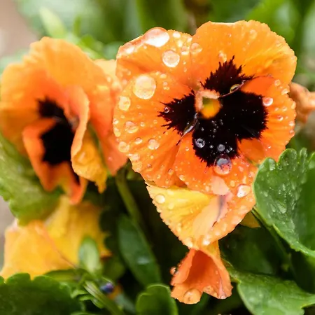 Casa Ponte Da Vessada Дом отдыха