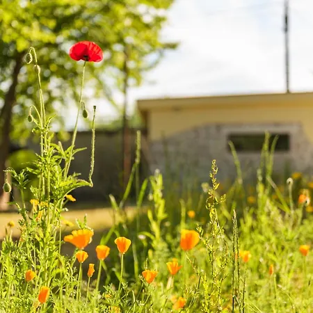 Casa Ponte Da Vessada * Celorico De Basto