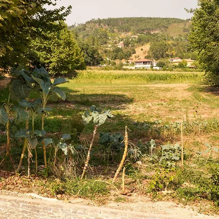 Дом отдыха Casa Ponte Da Vessada *