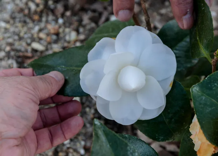 Casa Ponte Da Vessada Celorico De Basto