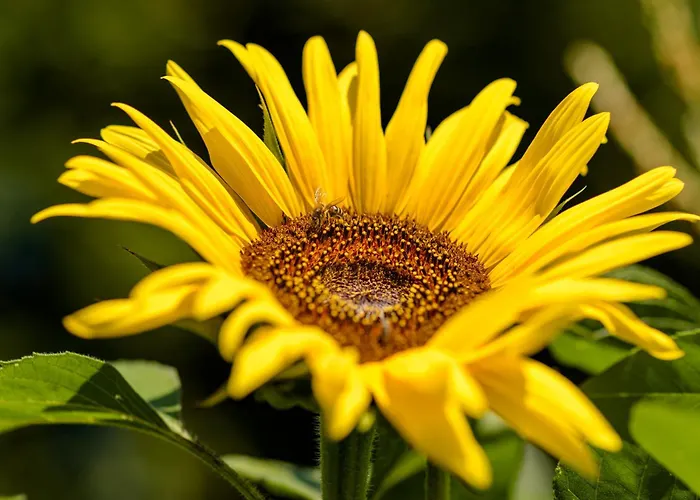 Casa Ponte Da Vessada Celorico De Basto