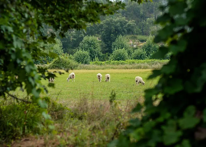 Ferienhaus Casa Ponte Da Vessada *