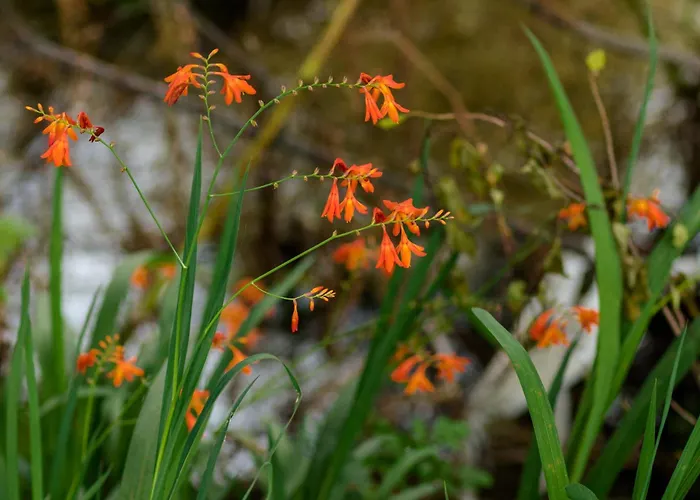 Ferienhaus Casa Ponte Da Vessada Celorico De Basto