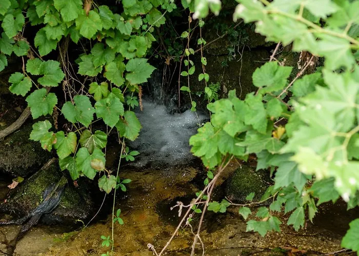 Casa Ponte Da Vessada