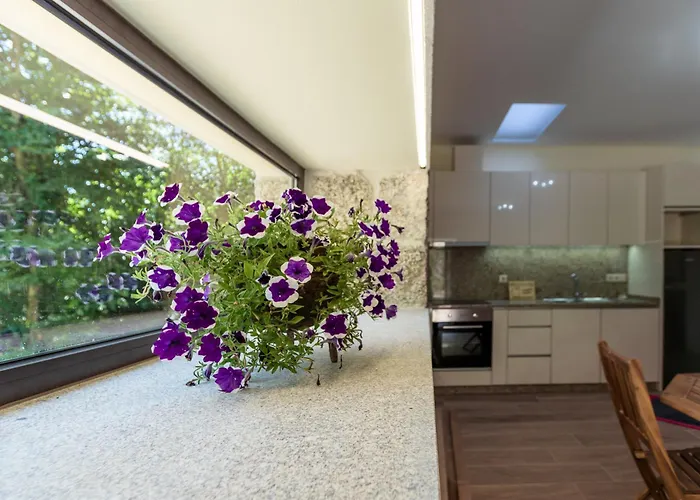 Ferienhaus Casa Ponte Da Vessada Celorico De Basto