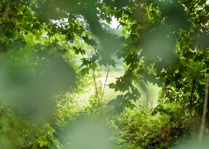 Casa Ponte Da Vessada Dom wakacyjny Celorico De Basto