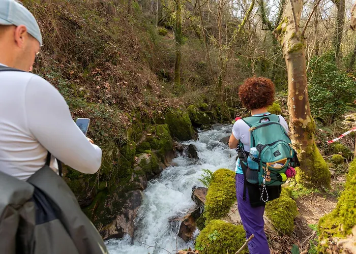 Ferienhaus Casa Ponte Da Vessada Celorico De Basto