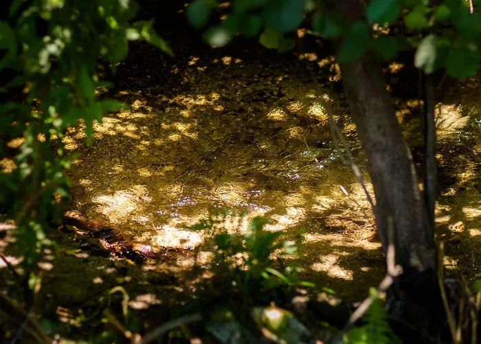 Casa Ponte Da Vessada Ferienhaus Celorico De Basto