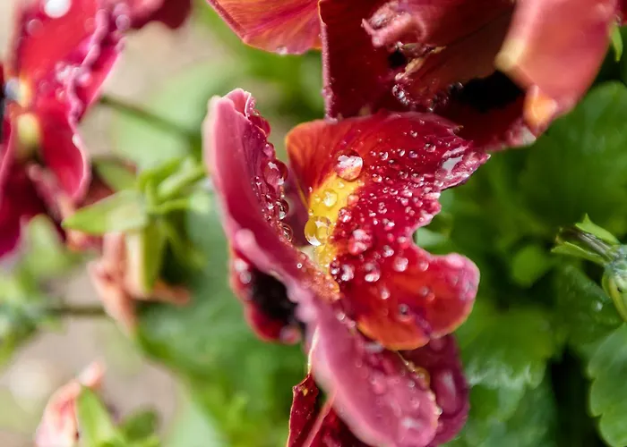 Casa Ponte Da Vessada *