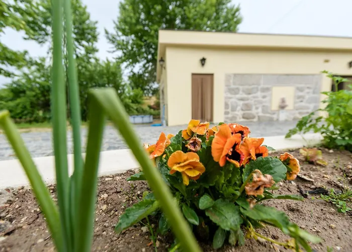 Dom wakacyjny Casa Ponte Da Vessada Celorico De Basto