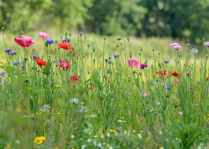 Casa Ponte Da Vessada *
