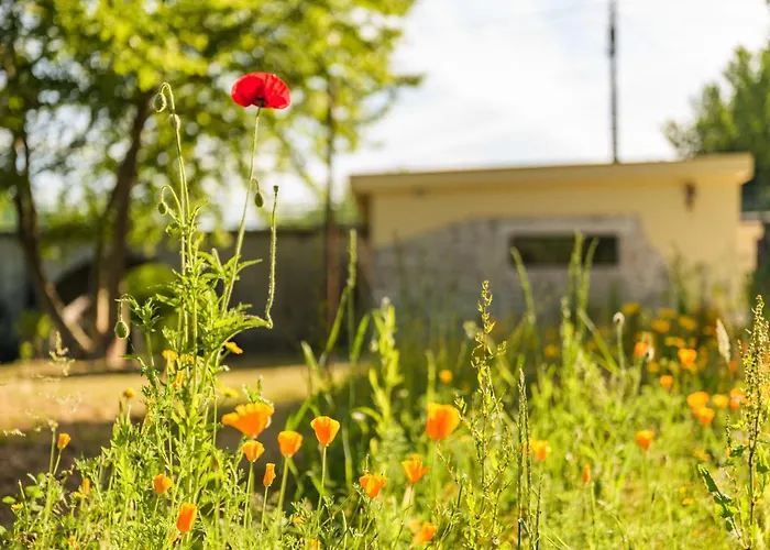 Casa Ponte Da Vessada * Celorico De Basto