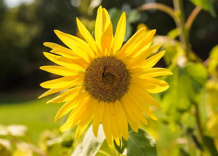 Ferienhaus Casa Ponte Da Vessada