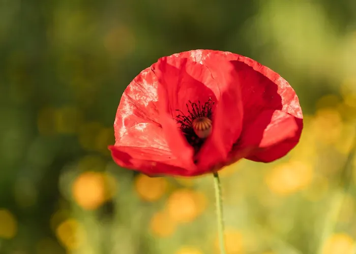Casa Ponte Da Vessada Dom wakacyjny *