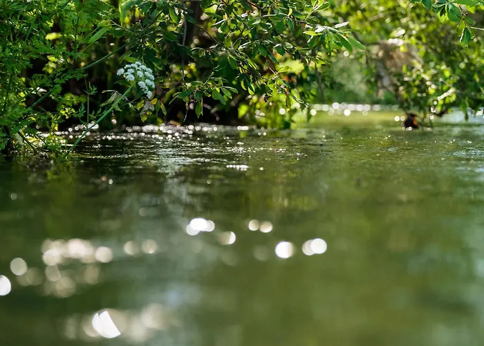 Dom wakacyjny Casa Ponte Da Vessada Celorico De Basto