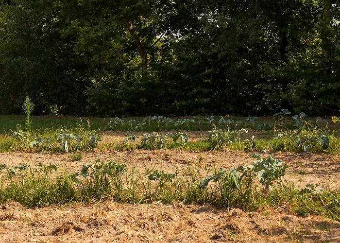 Casa Ponte Da Vessada Ferienhaus
